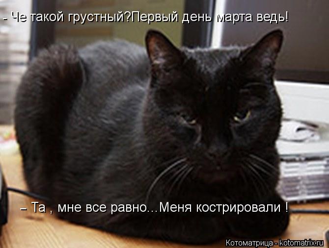 Че такой грустный?Первый день марта ведь! Та , мне все равно...Меня кострировали ! - - -... Котоматрица: Че такой грустный?Первый день марта ведь! Та , мне все равно...Меня кострировали ! - - -