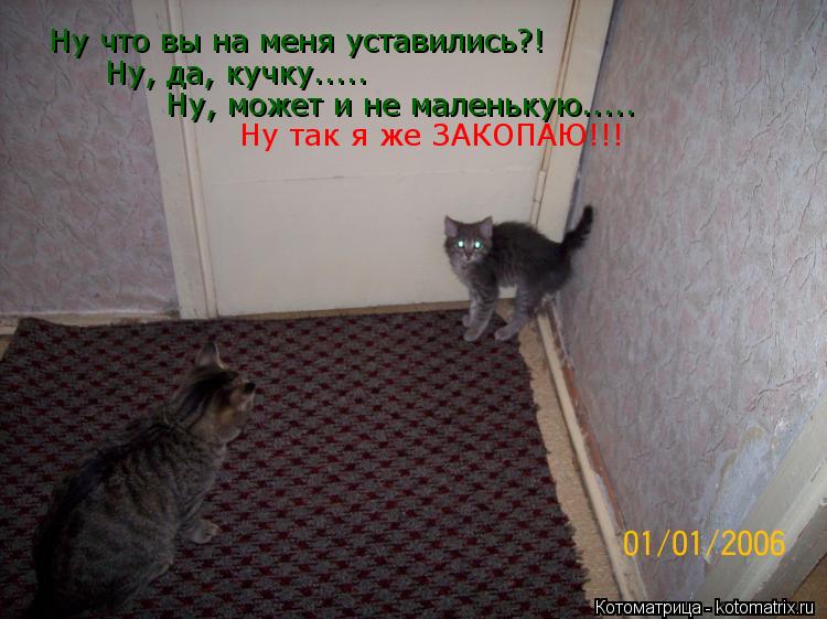 Ну что вы на меня уставились?! Ну, да, кучку..... Ну, может и не маленькую..... Ну так я же ЗАКОПАЮ!!... Котоматрица: Ну что вы на меня уставились?! Ну, да, кучку..... Ну, может и не маленькую..... Ну так я же ЗАКОПАЮ!!!