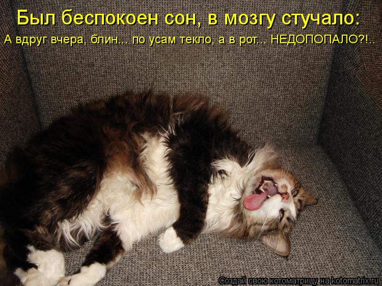 Был беспокоен сон, в мозгу стучало: А вдруг вчера, блин... по усам текло, а в рот... НЕДОПОПАЛО?!..... Котоматрица: Был беспокоен сон, в мозгу стучало: А вдруг вчера, блин... по усам текло, а в рот... НЕДОПОПАЛО?!..