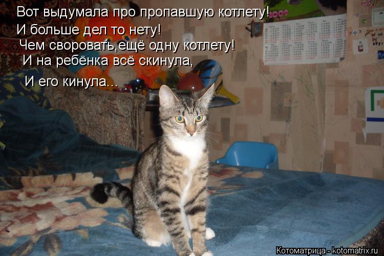 Вот выдумала про пропавшую котлету! И больше дел то нету! Чем своровать,ещё одну котлету! И на ребёнк... Котоматрица: Вот выдумала про пропавшую котлету! И больше дел то нету! Чем своровать,ещё одну котлету! И на ребёнка всё скинула, И его кинула...