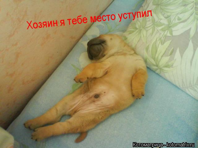 Хозяин я тебе место уступил... Котоматрица: Хозяин я тебе место уступил