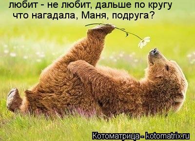 любит - не любит, дальше по кругу что нагадала, Маня, подруга?... Котоматрица: любит - не любит, дальше по кругу что нагадала, Маня, подруга?