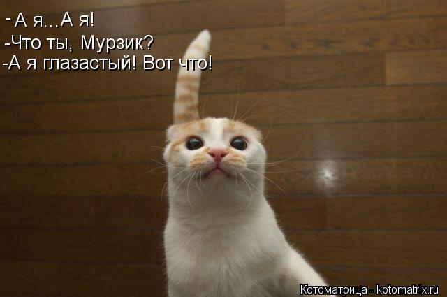 А я... А я! - -Что ты, Мурзик? -А я глазастый! Вот что!... Котоматрица: А я... А я! - -Что ты, Мурзик? -А я глазастый! Вот что!