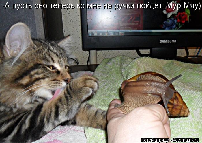 -А пусть оно теперь ко мне на ручки пойдёт. Мур-Мяу)... Котоматрица: -А пусть оно теперь ко мне на ручки пойдёт. Мур-Мяу)