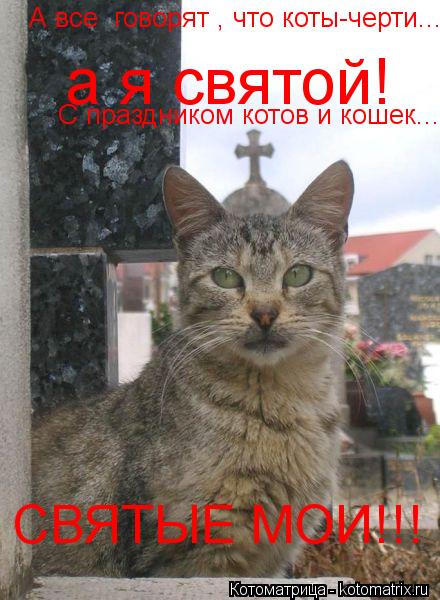 А все говорят , что коты-черти... а я святой! С праздником котов и кошек... СВЯТЫЕ МОИ!!!... Котоматрица: А все говорят , что коты-черти... а я святой! С праздником котов и кошек... СВЯТЫЕ МОИ!!!