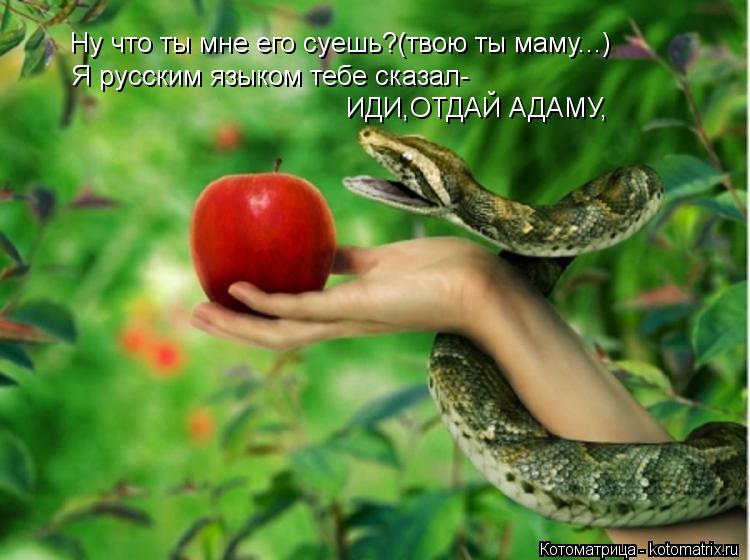 Ну что ты мне его суешь?(твою ты маму...) Я русским языком тебе сказал- ИДИ,ОТДАЙ АДАМУ,... Котоматрица: Ну что ты мне его суешь?(твою ты маму...) Я русским языком тебе сказал- ИДИ,ОТДАЙ АДАМУ,