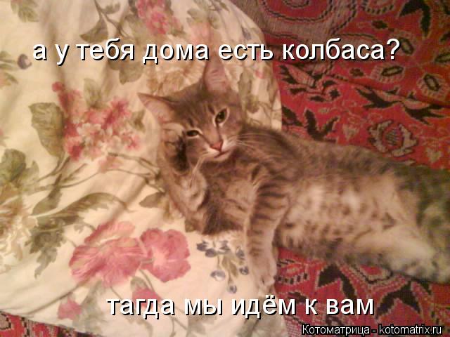 а у тебя дома есть колбаса? тагда мы идём к вам... Котоматрица: а у тебя дома есть колбаса? тагда мы идём к вам