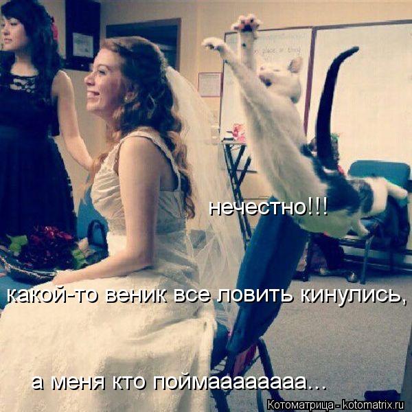 нечестно!!! какой-то веник все ловить кинулись, а меня кто поймаааааааа...... Котоматрица: нечестно!!! какой-то веник все ловить кинулись, а меня кто поймаааааааа...