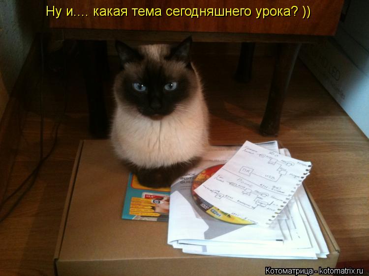 Ну и.... какая тема сегодняшнего урока? ))... Котоматрица: Ну и.... какая тема сегодняшнего урока? ))