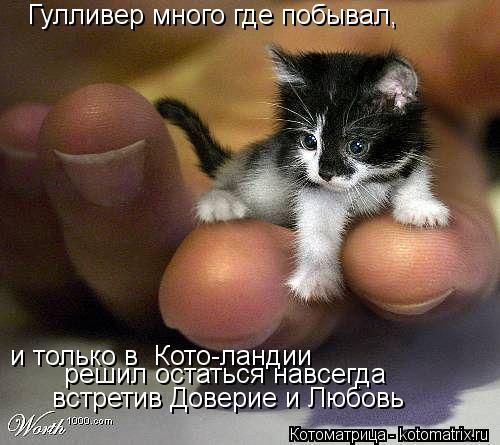 Гулливер много где побывал, и только в Кото-ландии встретив Доверие и Любовь решил остаться навсегда... Котоматрица: Гулливер много где побывал, и только в Кото-ландии встретив Доверие и Любовь решил остаться навсегда