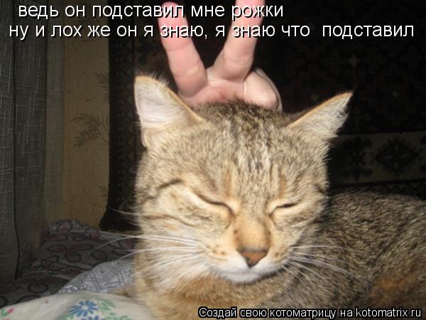 ведь он подставил мне рожки ну и лох же он я знаю, я знаю что подставил... Котоматрица: ведь он подставил мне рожки ну и лох же он я знаю, я знаю что подставил