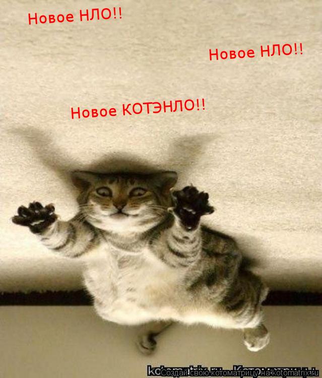 Новое НЛО!! Новое НЛО!! Новое КОТЭНЛО!!... Котоматрица: Новое НЛО!! Новое НЛО!! Новое КОТЭНЛО!!