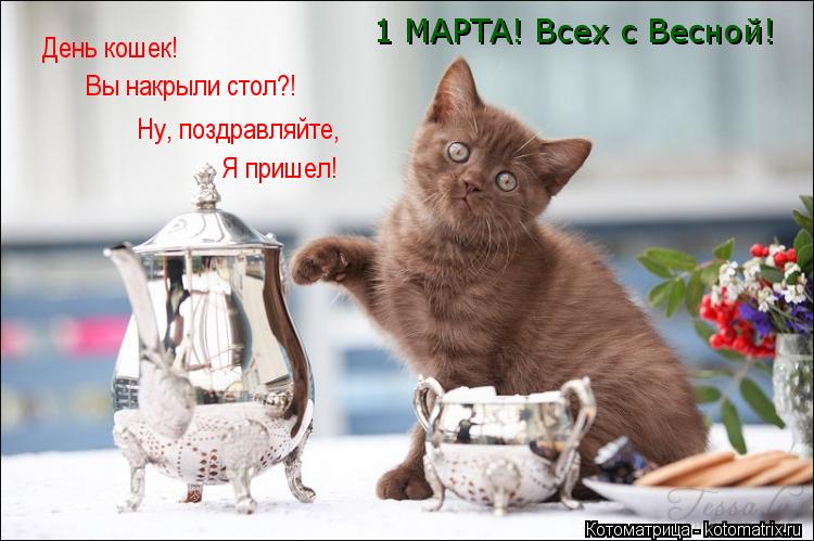 День кошек! Вы накрыли стол?! Ну, поздравляйте, Я пришел! 1 МАРТА! Всех с Весной!... Котоматрица: День кошек! Вы накрыли стол?! Ну, поздравляйте, Я пришел! 1 МАРТА! Всех с Весной!