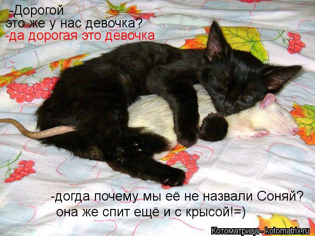-Дорогой это же у нас девочка? -да дорогая это девочка -догда почему мы её не назвали Соняй? она же ... Котоматрица: -Дорогой это же у нас девочка? -да дорогая это девочка -догда почему мы её не назвали Соняй? она же спит ещё и с крысой!=)
