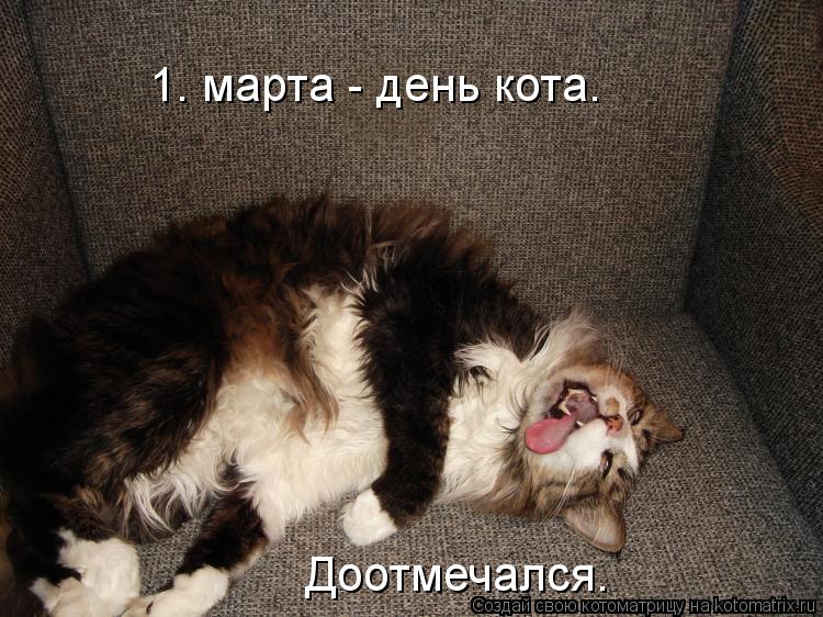 1. марта - день кота. Доотмечался.... Котоматрица: 1. марта - день кота. Доотмечался.