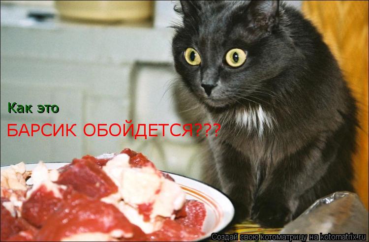 БАРСИК ОБОЙДЕТСЯ??? Как это... Котоматрица: БАРСИК ОБОЙДЕТСЯ??? Как это
