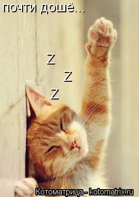 почти дошё... Z Z Z... Котоматрица: почти дошё... Z Z Z