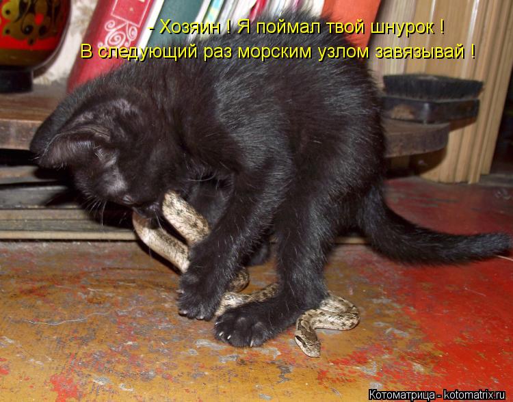 - Хозяин ! Я поймал твой шнурок ! В следующий раз морским узлом завязывай !... Котоматрица: - Хозяин ! Я поймал твой шнурок ! В следующий раз морским узлом завязывай !