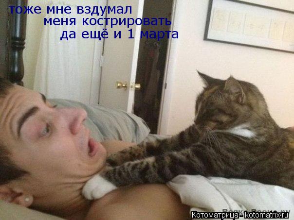 тоже мне вздумал меня кострировать да ещё и 1 марта... Котоматрица: тоже мне вздумал меня кострировать да ещё и 1 марта