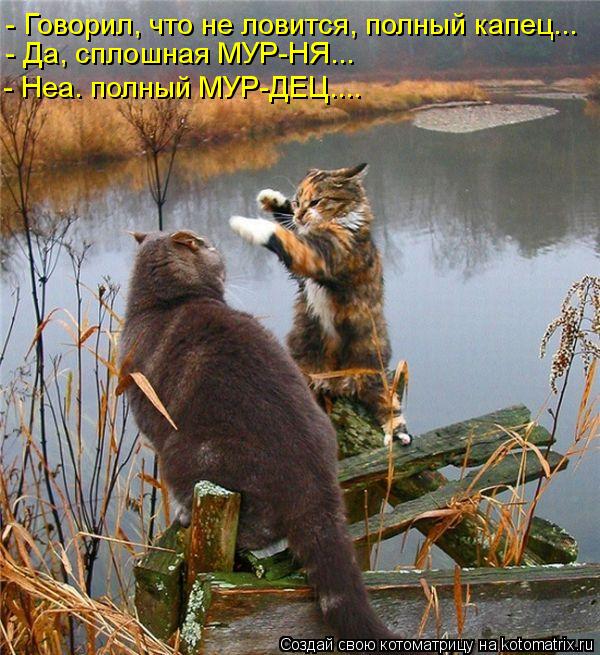 - Говорил, что не ловится, полный капец... - Да, сплошная МУР-НЯ... - Неа. полный МУР-ДЕЦ....... Котоматрица: - Говорил, что не ловится, полный капец... - Да, сплошная МУР-НЯ... - Неа. полный МУР-ДЕЦ....