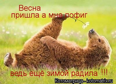 Весна пришла а мне пофиг ведь ещё зимой радила !!!... Котоматрица: Весна пришла а мне пофиг ведь ещё зимой радила !!!