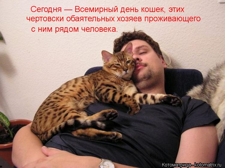 Сегодня — Всемирный день кошек, этих чертовски обаятельных хозяев проживающего с ним рядом человек... Котоматрица: Сегодня — Всемирный день кошек, этих чертовски обаятельных хозяев проживающего с ним рядом человека.