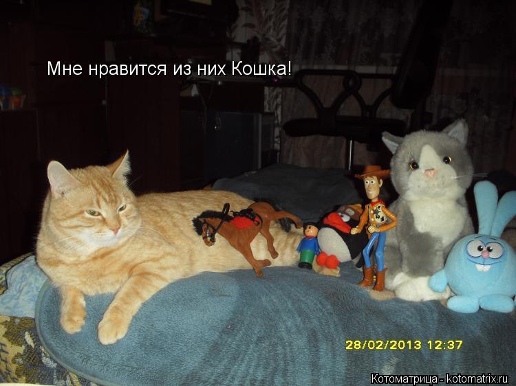 Мне нравится из них Кошка!... Котоматрица: Мне нравится из них Кошка!