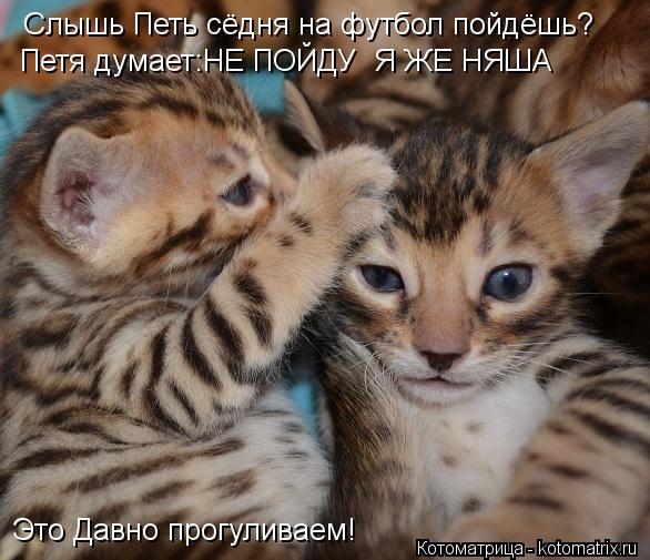 Слышь Петь сёдня на футбол пойдёшь? Это Давно прогуливаем! Петя думает:НЕ ПОЙДУ Я ЖЕ НЯША... Котоматрица: Слышь Петь сёдня на футбол пойдёшь? Это Давно прогуливаем! Петя думает:НЕ ПОЙДУ Я ЖЕ НЯША