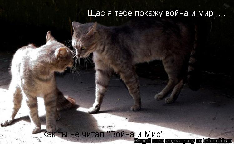 Как ты не читал "Война и Мир" Щас я тебе покажу война и мир ....... Котоматрица: Как ты не читал "Война и Мир" Щас я тебе покажу война и мир ....