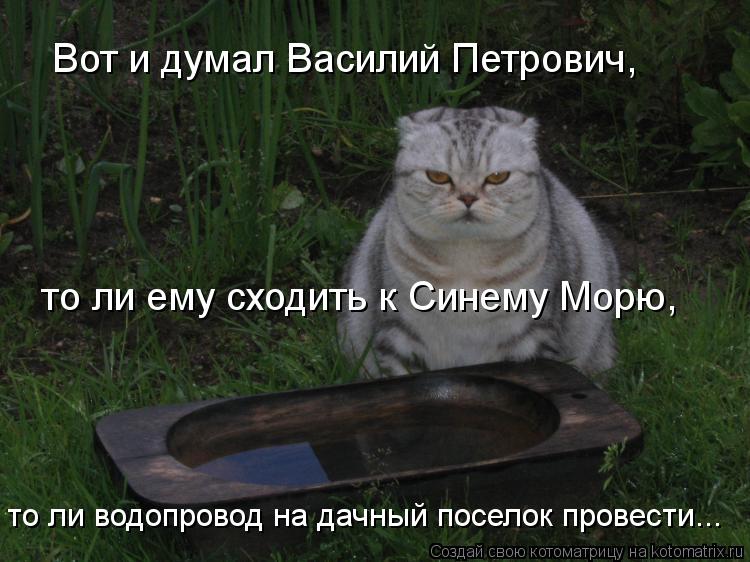 Вот и думал Василий Петрович, то ли ему сходить к Синему Морю, то ли водопровод на дачный поселок про... Котоматрица: Вот и думал Василий Петрович, то ли ему сходить к Синему Морю, то ли водопровод на дачный поселок провести...