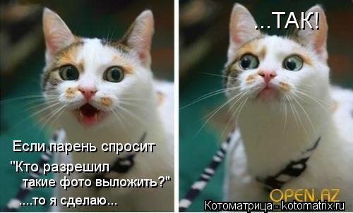 Если парень спросит "Кто разрешил такие фото выложить?" ....то я сделаю... ...ТАК!... Котоматрица: Если парень спросит "Кто разрешил такие фото выложить?" ....то я сделаю... ...ТАК!