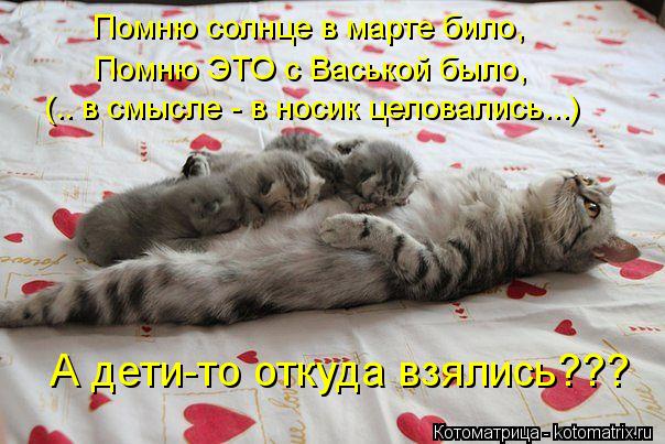 А дети-то откуда взялись??? Помню солнце в марте било, Помню ЭТО с Васькой было, (.. в смысле - в нос... Котоматрица: А дети-то откуда взялись??? Помню солнце в марте било, Помню ЭТО с Васькой было, (.. в смысле - в носик целовались...)