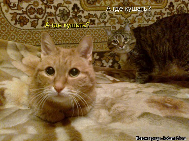 Бросил пить с ума схожу