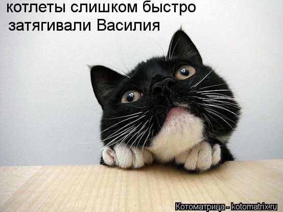 котлеты слишком быстро затягивали Василия... Котоматрица: котлеты слишком быстро затягивали Василия