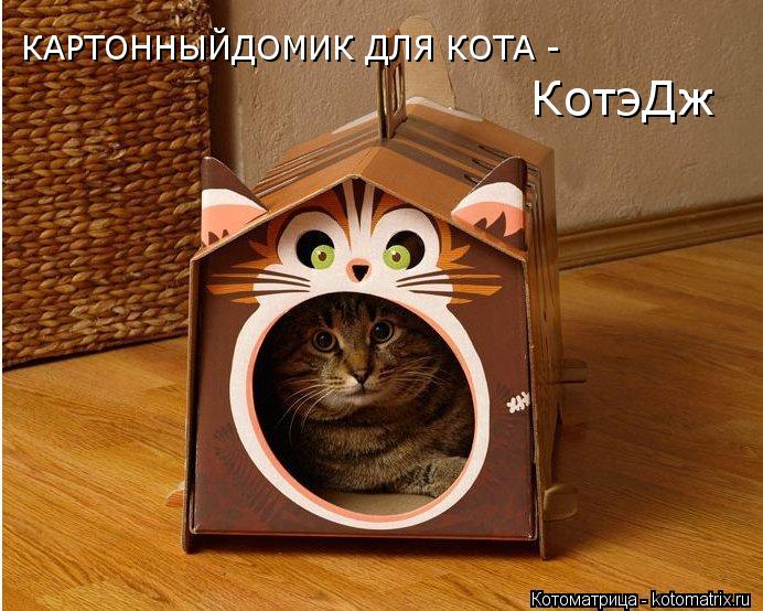 КотэДж КАРТОННЫЙДОМИК ДЛЯ КОТА -... Котоматрица: КотэДж КАРТОННЫЙДОМИК ДЛЯ КОТА -