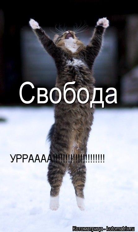 Свобода УРРАААА!!!!!!!!!!!!!!!!!!!!!... Котоматрица: Свобода УРРАААА!!!!!!!!!!!!!!!!!!!!!