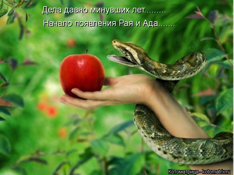 Дела давно минувших лет......... Начало появления Рая и Ада.......... Котоматрица: Дела давно минувших лет......... Начало появления Рая и Ада.......