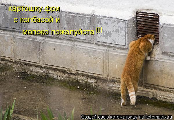 картошку фри с колбасой и молоко пожалуйста !!!... Котоматрица: картошку фри с колбасой и молоко пожалуйста !!!