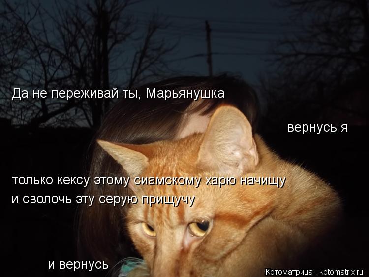 Да не переживай ты, Марьянушка вернусь я только кексу этому сиамскому харю начищу и сволочь эту серую... Котоматрица: Да не переживай ты, Марьянушка вернусь я только кексу этому сиамскому харю начищу и сволочь эту серую прищучу и вернусь