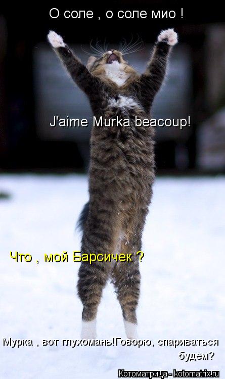О соле , о соле мио ! J'aime Murka beacoup! Мурка , вот глухомань!Говорю, спариваться будем? Что , мо... Котоматрица: О соле , о соле мио ! J'aime Murka beacoup! Мурка , вот глухомань!Говорю, спариваться будем? Что , мой Барсичек ?