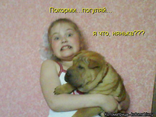 Покорми...погуляй... я что, нянька???... Котоматрица: Покорми...погуляй... я что, нянька???