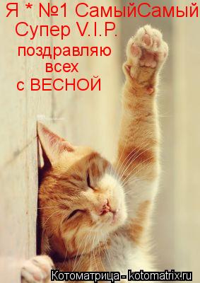 Я * №1 СамыйСамый Супер V.I.P. поздравляю всех с ВЕСНОЙ... Котоматрица: Я * №1 СамыйСамый Супер V.I.P. поздравляю всех с ВЕСНОЙ
