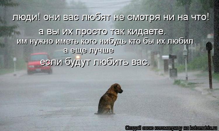 люди! они вас любят не смотря ни на что! а вы их просто так кидаете. им нужно иметь кого нибудь кто б... Котоматрица: люди! они вас любят не смотря ни на что! а вы их просто так кидаете. им нужно иметь кого нибудь кто бы их любил а еще лучше если будут любить ва