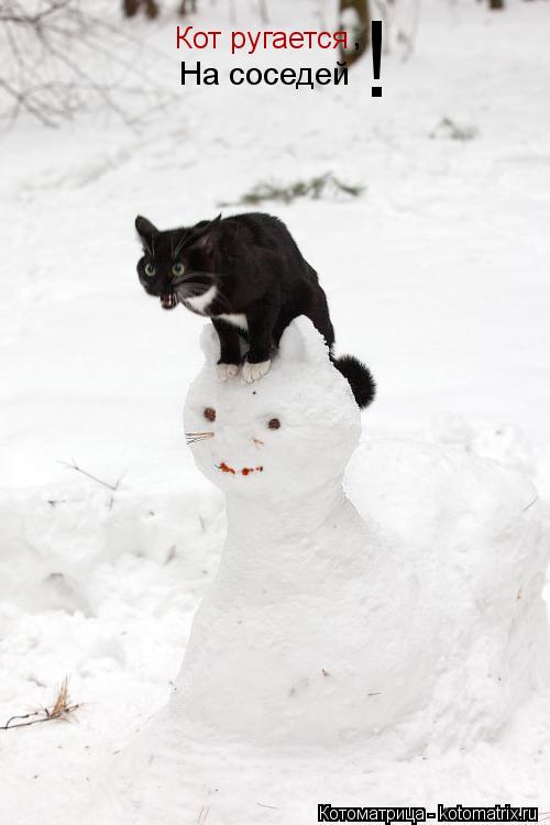 Кот ругается , , На соседей !... Котоматрица: Кот ругается , , На соседей !