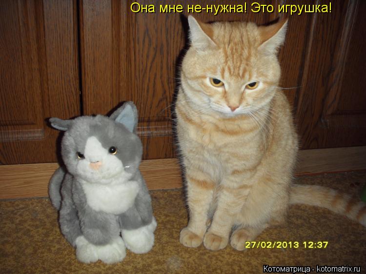 Она мне не-нужна! Это игрушка!... Котоматрица: Она мне не-нужна! Это игрушка!