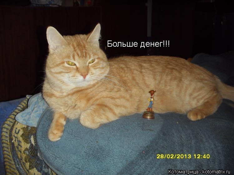 Больше денег!!!... Котоматрица: Больше денег!!!