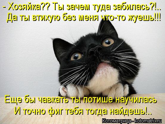 - Хозяйка?? Ты зачем туда забилась?!.. Да ты втихую без меня что-то жуешь!!! Еще бы чавкать ты потише... Котоматрица: - Хозяйка?? Ты зачем туда забилась?!.. Да ты втихую без меня что-то жуешь!!! Еще бы чавкать ты потише научилась И точно фиг тебя тогда найдешь!..