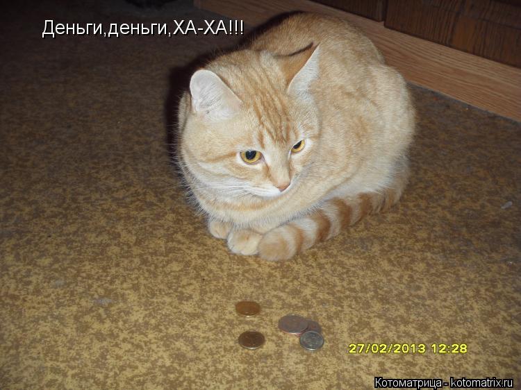 Деньги,деньги,ХА-ХА!!!... Котоматрица: Деньги,деньги,ХА-ХА!!!