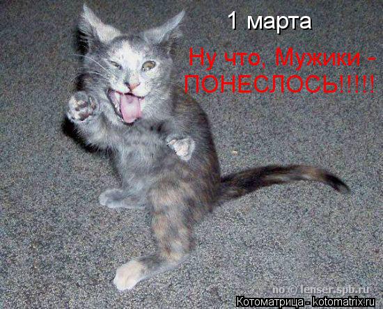 Ну что, Мужики - ПОНЕСЛОСЬ!!!!! 1 марта... Котоматрица: Ну что, Мужики - ПОНЕСЛОСЬ!!!!! 1 марта