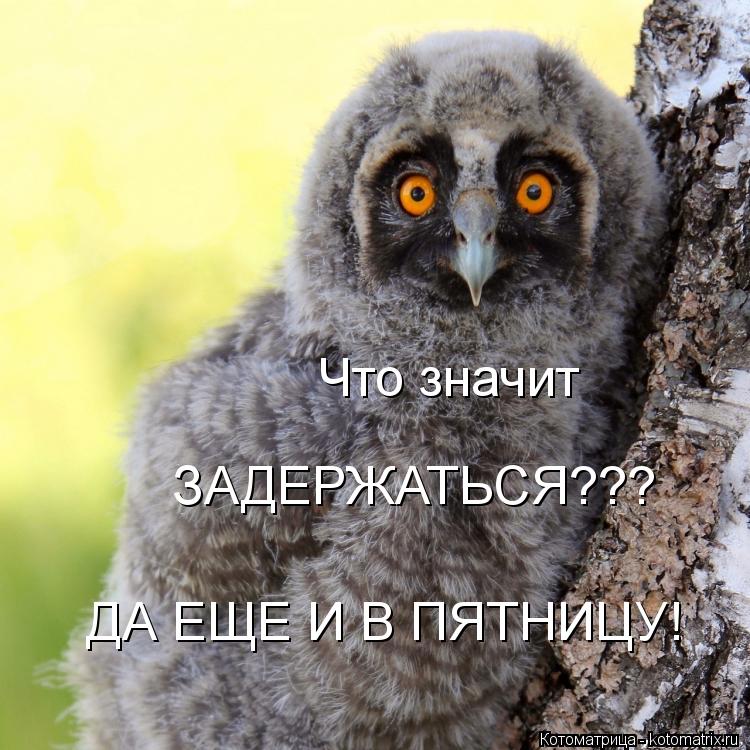 Что значит ЗАДЕРЖАТЬСЯ??? ДА ЕЩЕ И В ПЯТНИЦУ!... Котоматрица: Что значит ЗАДЕРЖАТЬСЯ??? ДА ЕЩЕ И В ПЯТНИЦУ!